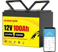 batterie au lithium-fer-phosphate 12V 100Ah, capacité 1280Wh, plus de 6000 cycles de charge, 12V 100A 260mm BT