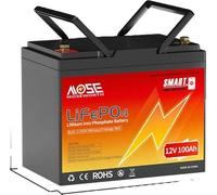 Batterie au lithium-fer-phosphate, conception légère, applications multiples, 12V 100Ah