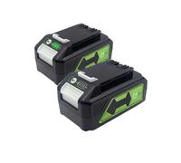 Batterie au Lithium Haute capacité 24 V 6,0 Ah Compatible avec Les Outils électriques et Les Outils de Jardin Greenworks(2pcs 6Ah Battery)
