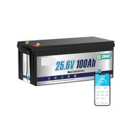 Batterie au Lithium LiFePO4 24 V 100 Ah avec BMS 100 A et Bluetooth, Plus de 4 000 Cycles, for Camping-Car, Applications solaires, Marines, Moteur de pêche à la traîne et systèmes Hors réseau.