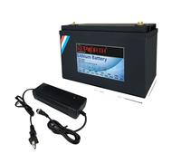 Batterie au lithium-phosphate de fer, 12V 24V, intégration BMS, haute capacité, 12V 100Ah 332mm