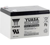 Batterie au plomb 12 V 14 Ah Yuasa REC14-12 plomb (AGM) (l x H x P) 151 x 97 x 98 mm cosses plates 6,35 mm auto-décharge réduite