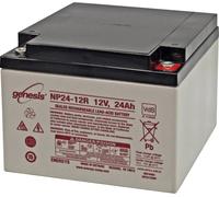 Batterie au plomb 12 V 24 Ah EnerSys Genesis plomb (AGM) (l x H x P) 166 x 125 x 175 mm raccord à vis M5 sans entretien