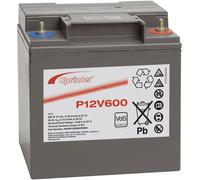 Batterie au plomb 12 V 24 Ah GNB Sprinter P12V600 plomb (AGM) (l x H x P) 169 x 175 x 128 mm raccord à vis M6 sans entretien, certification VdS