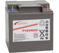 Batterie au plomb 12 V 24 Ah GNB Sprinter P12V600 plomb (AGM) (l x H x P) 169 x 175 x 128 mm raccord à vis M6 sans entretien