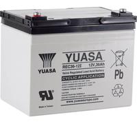 Batterie au plomb 12 V 36 Ah Yuasa REC36-12 plomb (AGM) (l x H x P) 196 x 169 x 130 mm raccord à vis M5 auto-décharge réduite, entretien faible, résistant aux