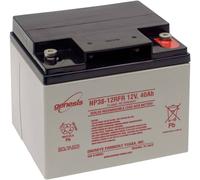 Batterie au plomb 12 V 38 Ah EnerSys Hawker Genesis plomb (AGM) (l x H x P) 197 x 172 x 165 mm raccord à vis M6 sans entretien