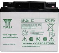 Batterie au plomb 12 V 38 Ah Yuasa NPL38-12 plomb (AGM) (l x H x P) 197 x 170 x 165 mm raccord à vis M5 sans entretien