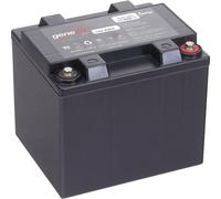 Batterie au plomb 12 V 42 Ah EnerSys Genesis 12EP42 plomb (AGM) (l x H x P) 198 x 171 x 166 mm raccord à vis M6 sans entretien