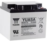 Batterie au plomb 12 V 50 Ah Yuasa REC50-12 plomb (AGM) (l x H x P) 197 x 175 x 165 mm raccord à vis M5 auto-décharge réduite, entretien faible, résistant aux