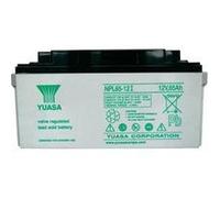 Batterie au plomb 12 V 65 Ah Yuasa NPL65-12 plomb (AGM) (l x H x P) 350 x 174 x 166 mm raccord à vis M6 sans entretien
