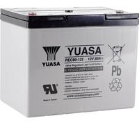 Batterie au plomb 12 V 80 Ah Yuasa REC80-12 plomb (AGM) (l x H x P) 259 x 212 x 168 mm raccord à vis M6 auto-décharge réduite, entretien faible, résistant aux