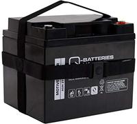 Batterie au Plomb AGM 12LCP-50 12 V 50 Ah avec Sangle de Transport