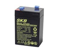 Batterie au Plomb Rechargeable SKB 6 V 4,5 Ah pour Jeux Pegperego Lampes d'urgence Beghelli