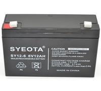 Batterie au plomb scellée rechargeable 6 V/12 Ah Réf SY12-6 NP12-6 FG11202 MP12-6 LCR0612P