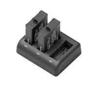 Batterie avec Chargeur, Batterie 1950 MAh, Compatible avec DJI, for Osmo 360 Action 6 5 Pro 4 3(2 Battery 1 Charger)