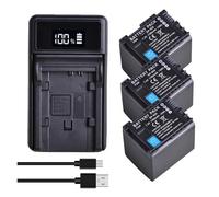 Batterie BP-820 BP820 + Chargeur USB LED, Compatible avec Canon, for VIXIA HF G30 G40 XA10 XA20 XA25 XA30 XA35 XA40 XA45 XA50 GX10 HFG21 HFG40 HFM300(3xBattery 1xCharger)