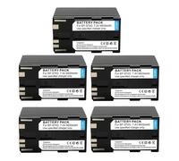 Batterie BP-975/BP-945 6600 MAh, Compatible avec Les Appareils Photo Canon EOS C100 Mark II, EOS C300, EOS C300PL, GL2, XF100 Et XF105.(5 Pcs)