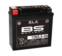 BS-Battery Batterie de moto 300841 12N5.5-4A AGM SLA Noir