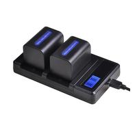 Batterie Compatible avec Le Pack de 2 appareils Sony NP-FH70, avec écran LCD et Double Chargeur USB for Les modèles NP-FH30, NP-FH40, NP-FH60 et NP-FH50 de la série HDR-XR.(2Pcs Set)