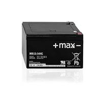 Batterie compatible moteur électrique hors-bord bateau 12 V 14 Ah AGM plomb