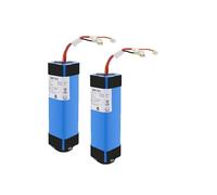 Batterie D'aspirateur 4000 MAh Compatible For Tineco FLOOR ONE 1.0 FW25M-01 FW25W-01 FW09010ECN HF10E-01 HF20E-01 S3-01, Remplacez La Batterie (Color : 2pcs battery)