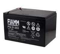 Batterie de remplacement pour FIAMM Peg Perego alimentation de secours 12V 12Ah (compatible to 14Ah)