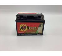 Batterie De Tondeuse À Gazon BANNER Bike Bull Gel 12V 11Ah GEL51201 M