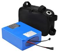 Batterie de vélo électrique 48 V 10 Ah 15 Ah 20 Ah 48 V 10 Ah 15 Ah 20 Ah avec chargeur, plaque de base BMS intégrée pour moteur 200 W 500 W 750 W 1000 W 48 V 20 Ah