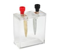 Batterie d'eau salée interactive Boîte d'expérimentation pour enseigner la physique et la conversion d'énergie Jouet éducatif pratique pour les élèves Jouet éducatif pour enfants