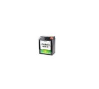 Fulbat Batterie FB12AL-A2 12V 12Ah Gel sans entretien LG134 L80 H160