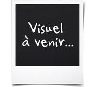 Batterie FIELDMANN 20V 2Ah