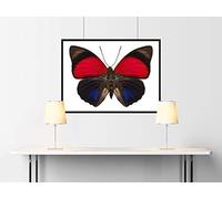 Batterie FULBAT 53030 12V 30Ah 300A Longueur: 186 x Largeur: 130 x Hauteur: 171 (mm)