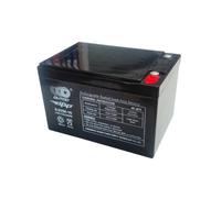 Batterie gel rechargeable 12V 12Ah AGM 6-DZM-10 sans entretien ECROSS