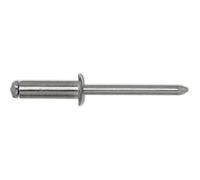 Batterie gesipa rivets aveugles standard a2 4 x 20 mm-lot de 500