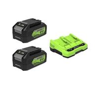 Batterie Li-ion 24V - Greenworks Tools - 4Ah - Affichage LED - Chargeur double fente - 2 batteries