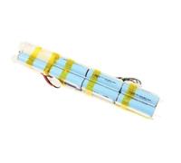 SEB Batterie Li‑ion 25 V RS-2230001774 pour aspirateur Bleu