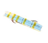 SEB Batterie Li‑ion 25 V RS-2230001774 pour aspirateur Bleu