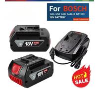 Batterie Li-ion de remplacement 2024 BAT610G+AL1820CV pour Bosch Professional 18V 6.0AH avec LED et chargeur rapide Bosch 14.4V-18V BS-18V 10AhX2