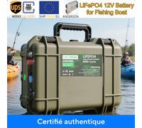 Batterie LiFePO4 12V 200Ah 100Ah 2.5KWh Bluetooth BMS 140Ah 24V pour bateau de pêche 6000+ cycles USB EU Livraison rapide 200AH 20A Charger