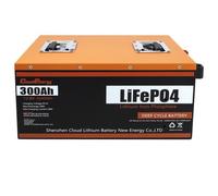 Batterie LiFePO4 12V 300Ah - Cloudenergy - Alimentation de Secours - 3840 Wh - 6000 Cycles - BMS 100A