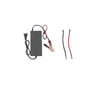 Batterie LiFePO4 6V 5Ah/8Ah/10Ah/12Ah/20Ah for Voiture, Moto et Poussette électriques for Enfants(6Vcharger)