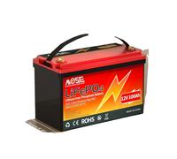 Batterie LiFePO4 à cycle profond, 12V 50Ah, 24V 60Ah, 12V 100Ah , 12V 100Ah