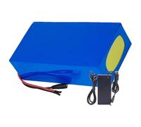 Batterie Lithium 48 V 20 Ah pour Draisiennes, Vélos Électriques Et Scooters avec Protection BMS, Pack Batterie Lithium-ION Étanche 13S4P avec Chargeur XT90+DC