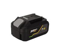 Batterie Lithium EGO 20V 4 Ah Gamme sans fil 20V VITO