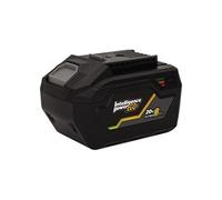 Batterie Lithium EGO LI 6Ah Gamme sans fil 20V VITO