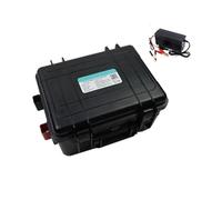 Batterie Lithium-Fer-Phosphate 12 V 30 Ah, 50 Ah, 100 Ah, 120 Ah, 150 Ah, Version Bluetooth, Compatible avec Une Alimentation Portable 12,8 V(100Ah -10A Charger)