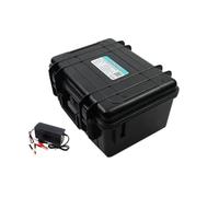 Batterie Lithium-Fer-Phosphate 12 V 30 Ah, 50 Ah, 100 Ah, 120 Ah, 150 Ah, Version Bluetooth, Compatible avec Une Alimentation Portable 12,8 V(120Ah -10A Charger)