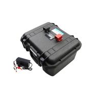 Batterie Lithium-Fer-Phosphate 12 V 30 Ah, 50 Ah, 100 Ah, 120 Ah, 150 Ah, Version Bluetooth, Compatible avec Une Alimentation Portable 12,8 V(150Ah -10A Charger)