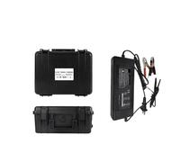 Batterie Lithium-Fer-Phosphate Lifepo4 12 V 100 Ah, étanche, Compatible avec voiturette de Golf, Camping-Car, onduleur de Stockage d'énergie Solaire, Marine